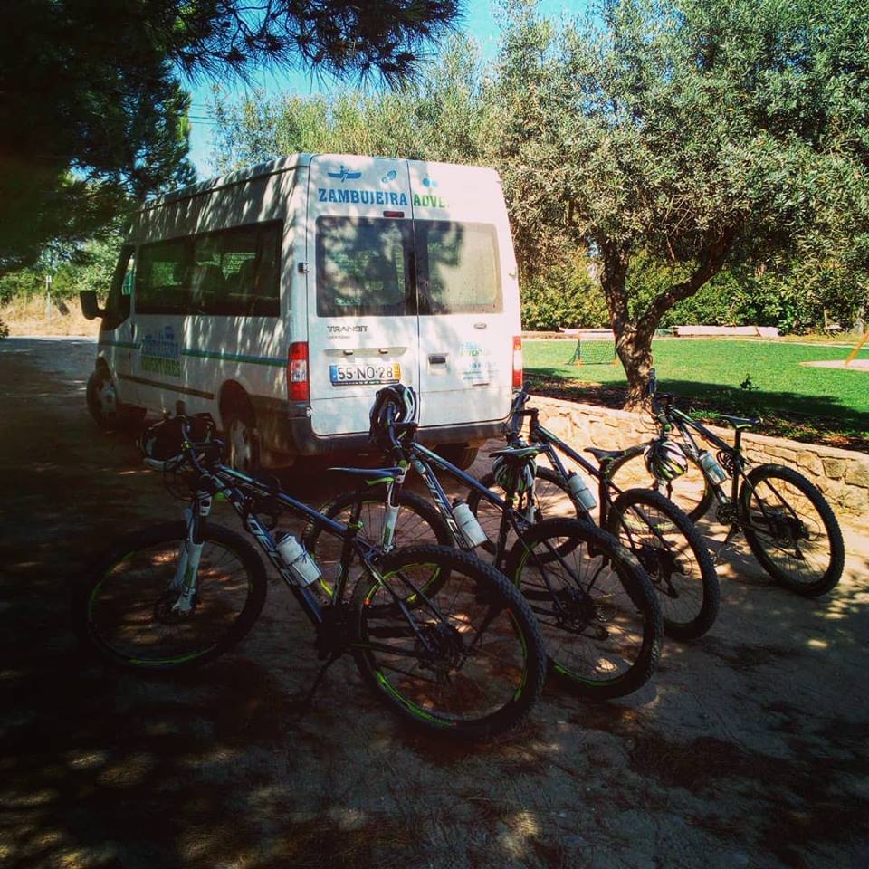Transfers